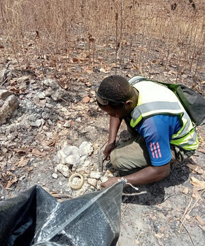 ORE SAMPLING
